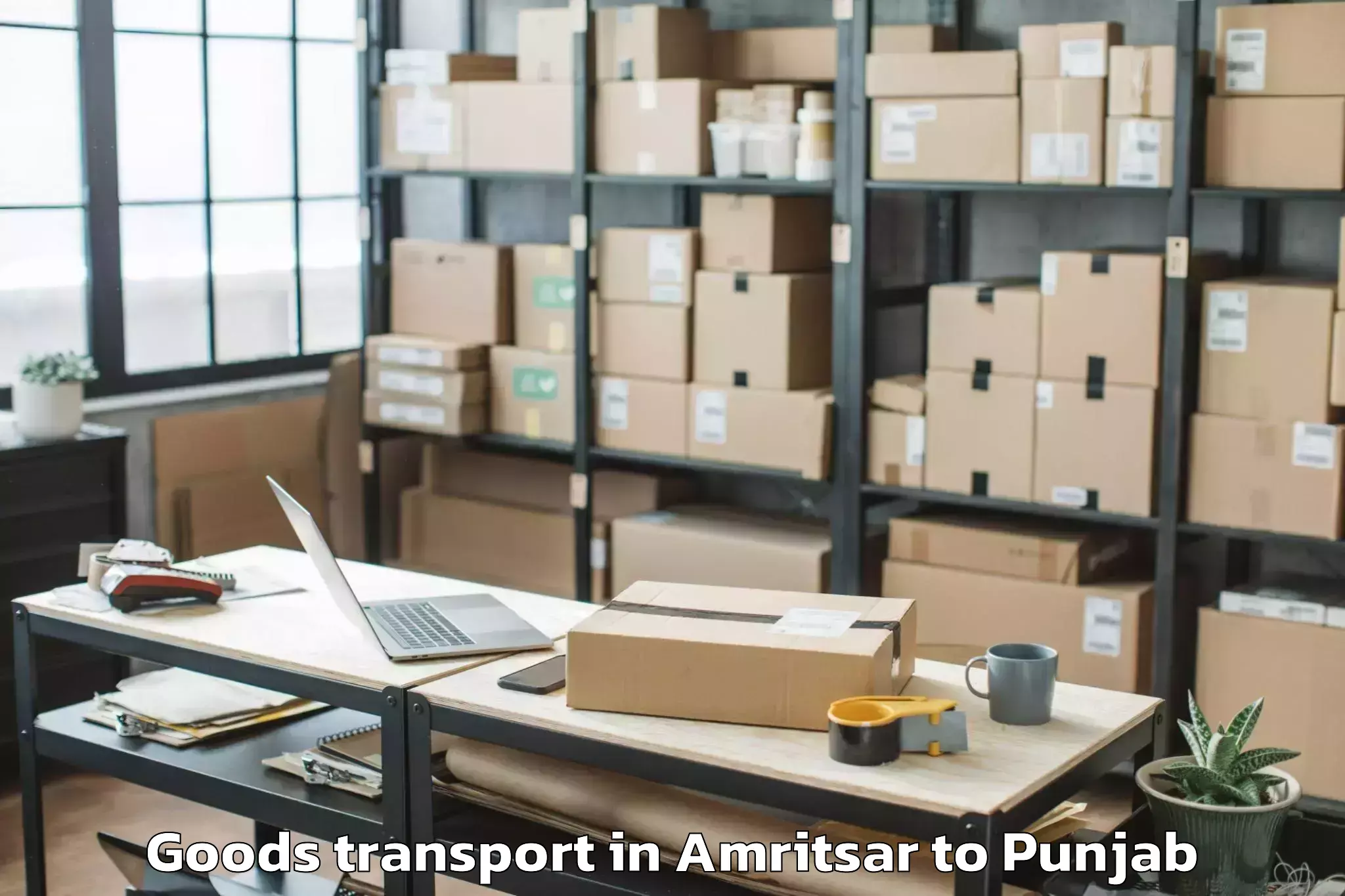 Hassle-Free Amritsar to Kotkapura Goods Transport